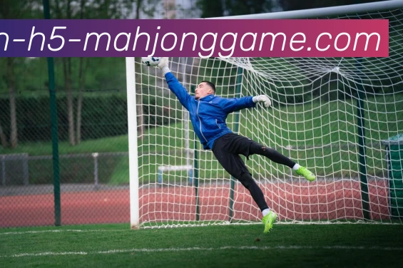 App Interface Preview